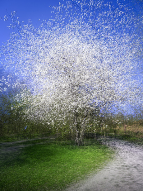 Explosie…