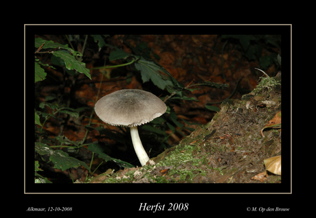 Herfst 2008-1