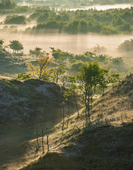 Zonsopgang Schiermonnikoog