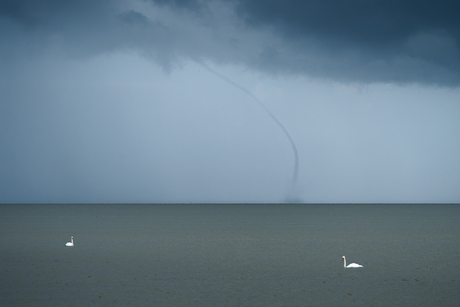 Waterhoos