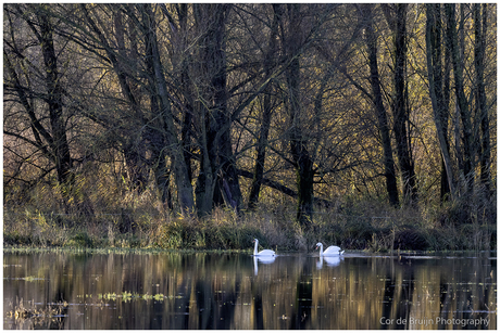 Hoog water