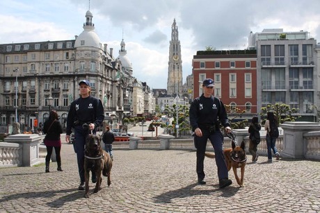 Hondengeleider Politie