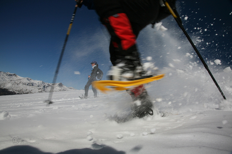 Sneeuwwandelen