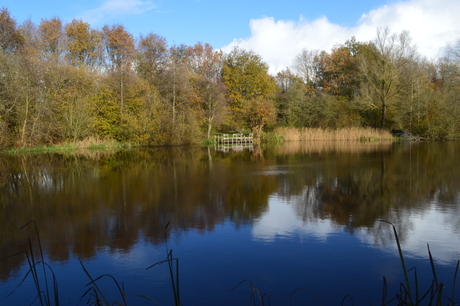 Natuurgebied Schoonhoven in de zon.