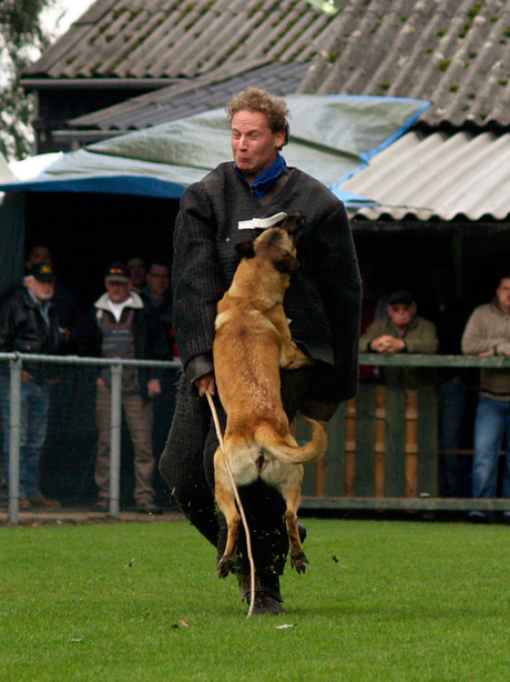 politiehonden keuring horst