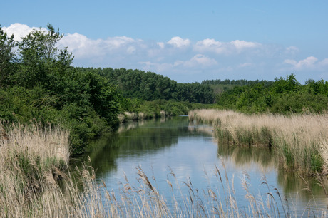 Flevo- waterlandschap