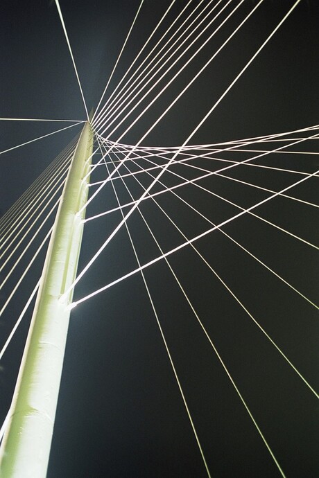 Harp in de nacht