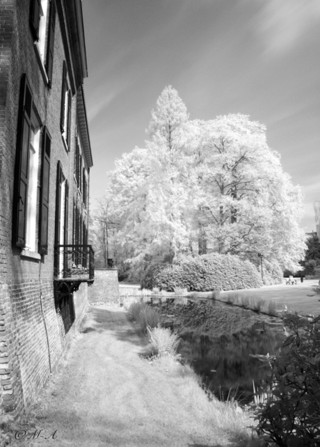 Kastanje in kasteeltuin van Geldrop