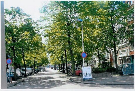 Van der takstraat in de zomer