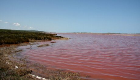 Australie en haar roze meren