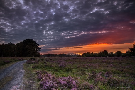 Zonsondergang op de heide