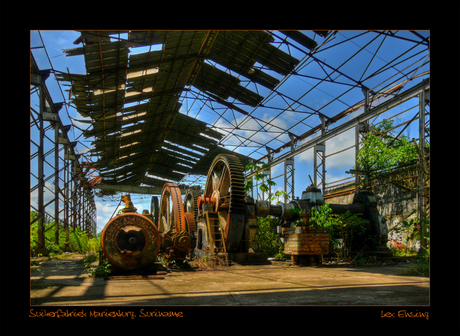 Suikerfabriek, Suriname