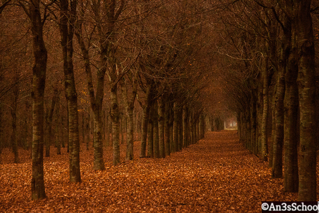 Vledderbos