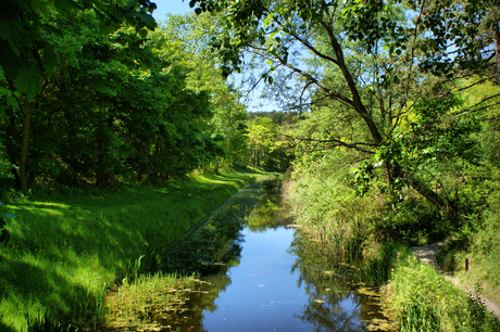 Zeeuwse Natuur