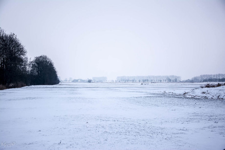 Winter meadow.jpg