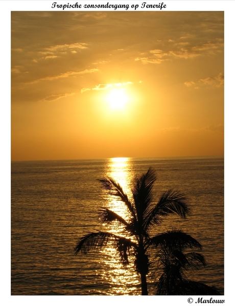 Tropische zonsondergang op Tenerife