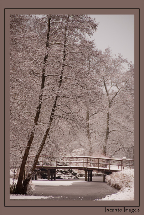 Wintersplaatje