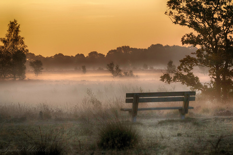 Peaceful moments (op het Balloerveld )