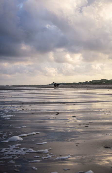 Paard en wagen