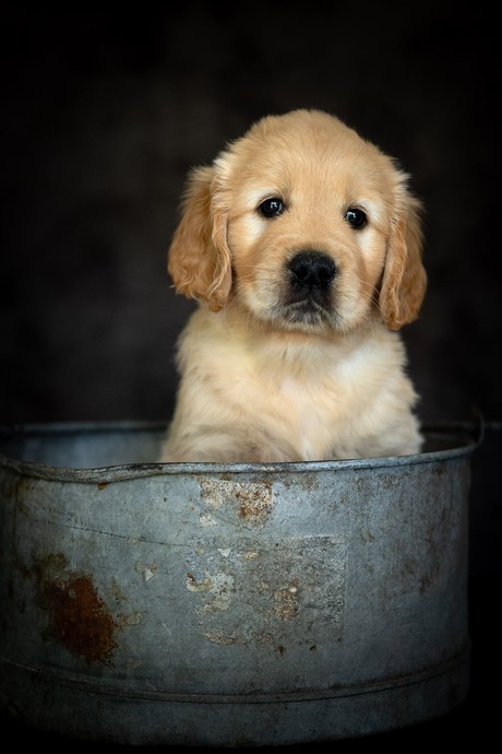 Lief moppie