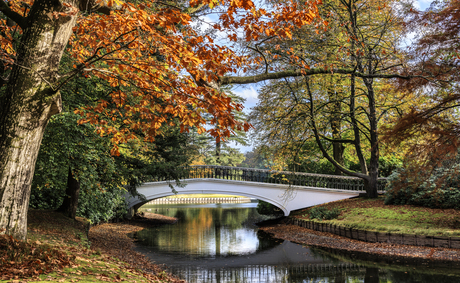 brug in het LOO park 