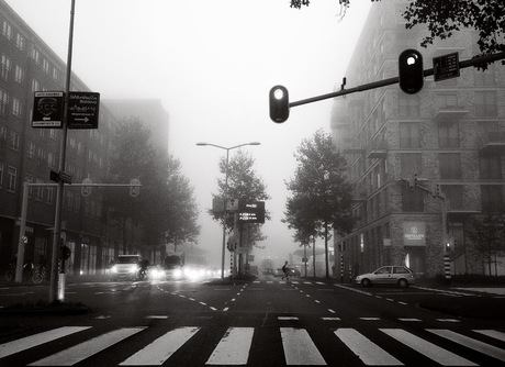 Morning drive 