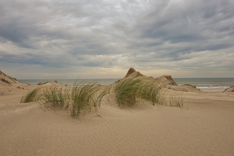 STRAND TERSCHELLING