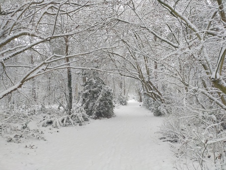 Zo was het..nu in de prut
