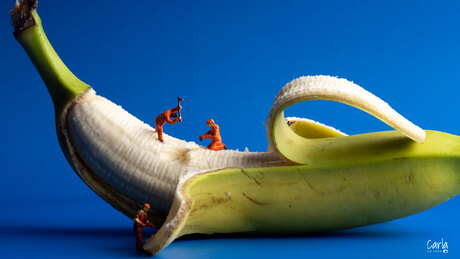 Banana werkzaamheden