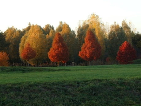 Herfstkleuren