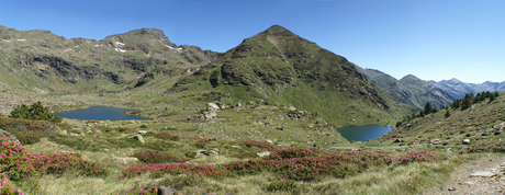 Tristainameertjes ,Andorra