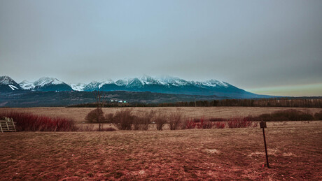 The Still Edge of Winter