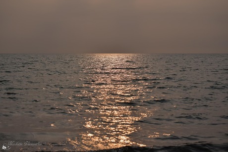 Avondlicht aan het strand