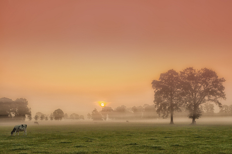 Zonsopkomst in Twente