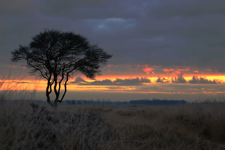 Sunrise in het Wierdense veld