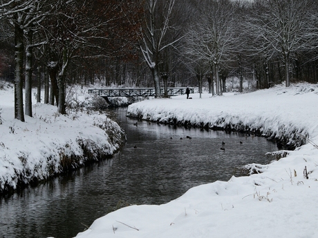 Winter Walk