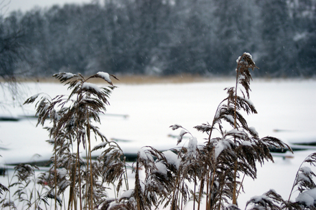 Koude winter in Finland