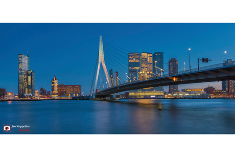 Erasmusbrug Rotterdam