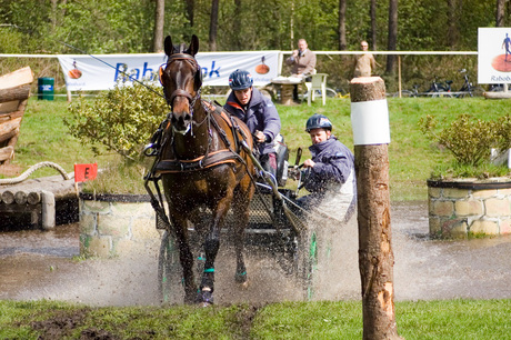 Horsedrive 2006