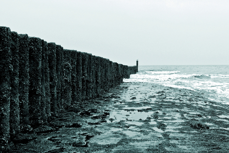 Golfbreker aan Cadzand