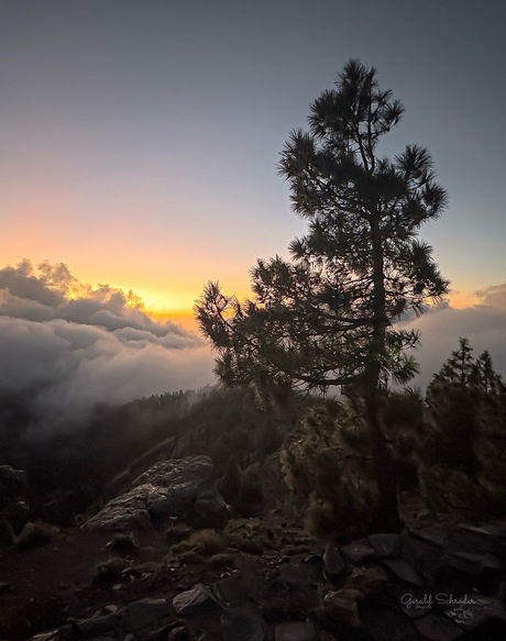 Pico De La Nieves