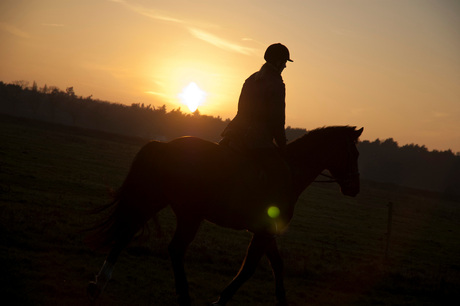 Vriendin te paard bij winterse zonsondergang