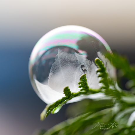 ice bubble