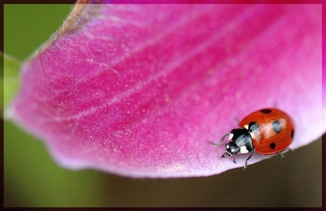 Schuilen voor de wind