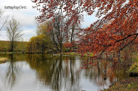 Landgoed kasteel Elsloo