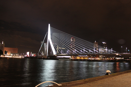 rotterdam 17-08-2013 033.JPG