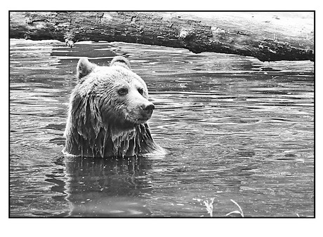 gelukkig..................................