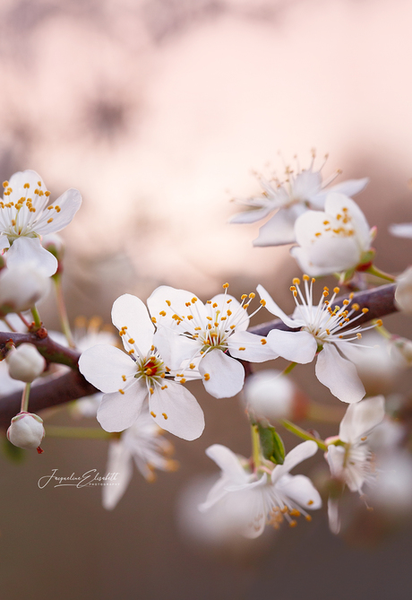 A broken world, still held by a gentler dream ...