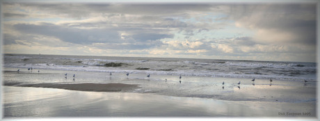 Strand noordwijk