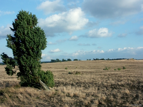 Zand verstoven?